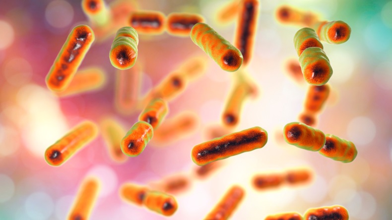 Bacteria Bacteroides fragilis, one of the major components of normal microbiome of human intestine, 3D illustration