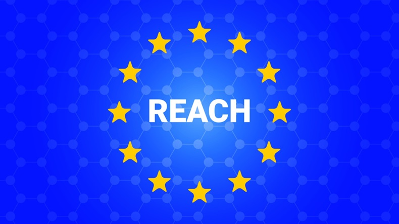REACH EU