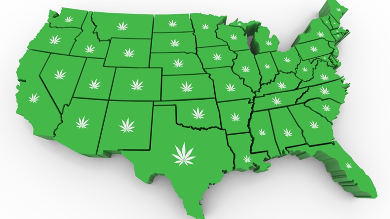 Marijuana Pot Weed Cannabis United States America USA Map 3d Illustration