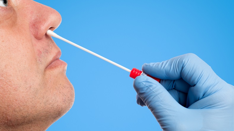 GSK Doctor makes with a cotton swab a nasal swab