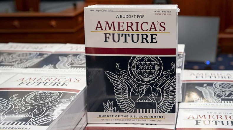 White House Budget book