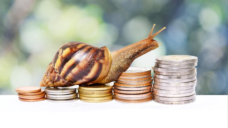 Snail Money Slow Growth