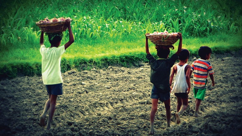 child labour in indian farms