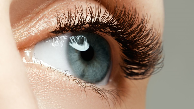 Female eye with long eyelashes close up. Closeup shot of female gray - blue colour eye with day makeup. Beauty female eye with curl long eyelashes