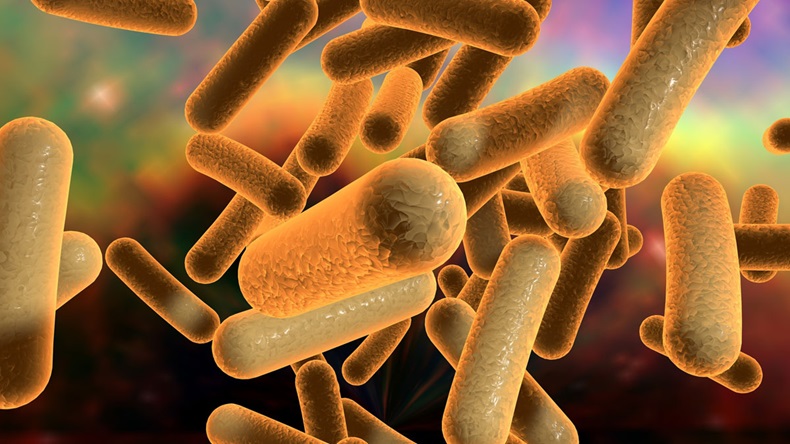 Illustration of bacteria on colorful background, model of bacteria, microbes, microorganisms,