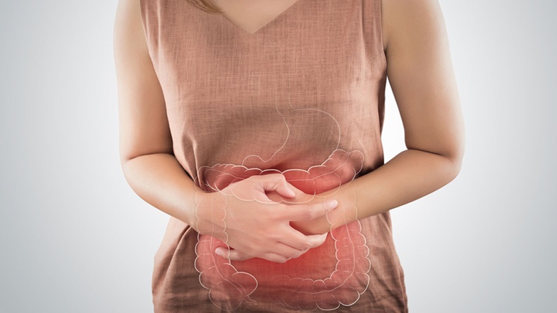 The Photo Of Large Intestine Is On The Woman's Body. People With Stomach Ache Problem Concept. Female Anatomy 