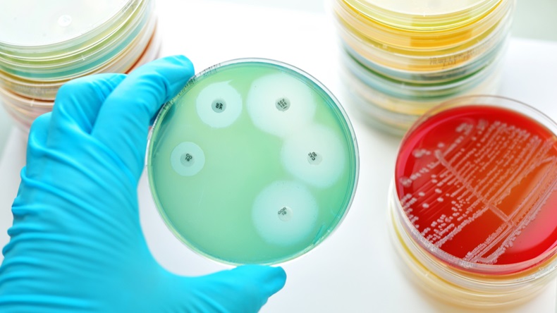 Antimicrobial_Resistance