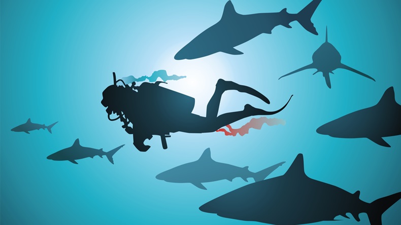 The wounded diver floats among malicious and hungry sharks - Vector 
